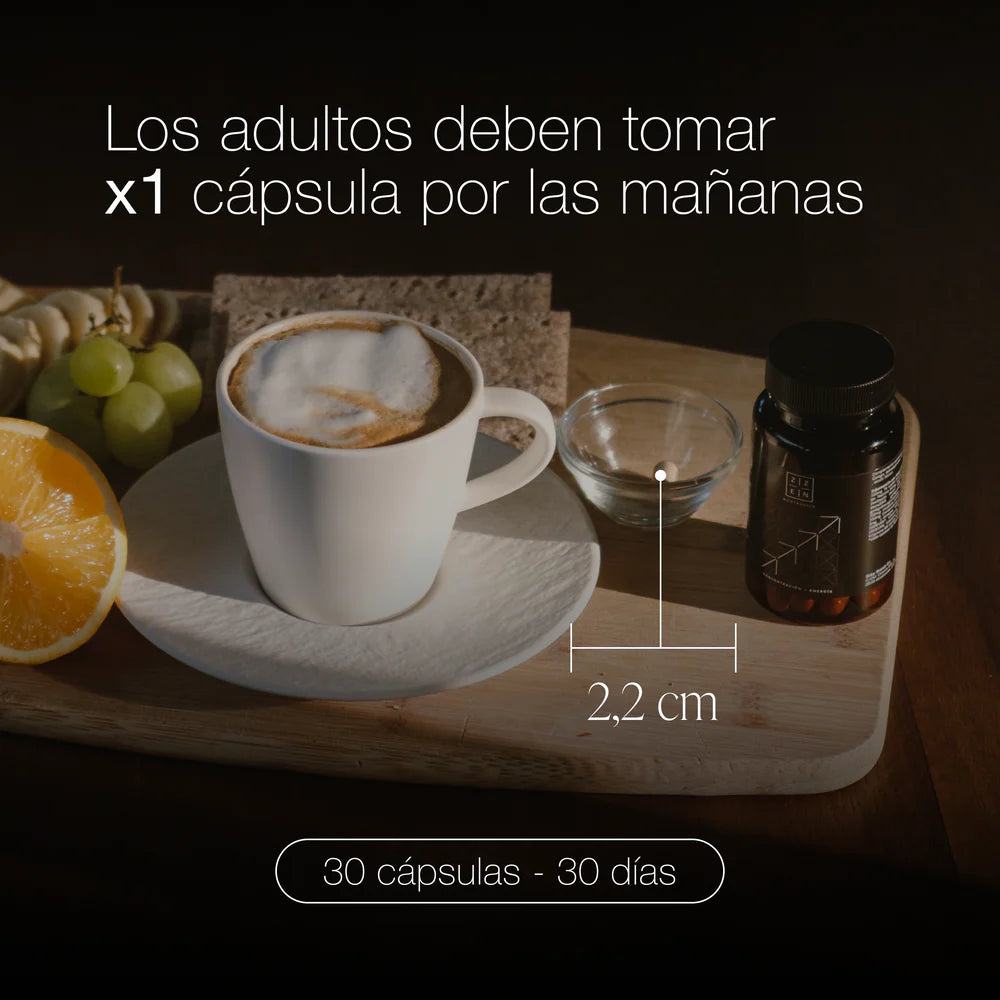 ZZEN Focus Nootrópico Natural - 30 Comprimidos.